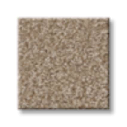 Shaw Brooklyn Bridge Desert Texture Carpet with Pet Perfect-Sample
